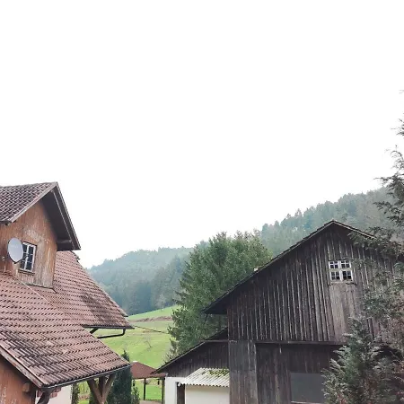 Geraeumige Im Schwarzwald זילבך