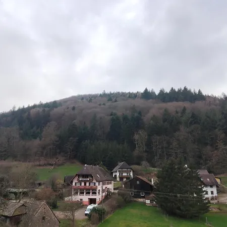 דירה Geraeumige Im Schwarzwald *