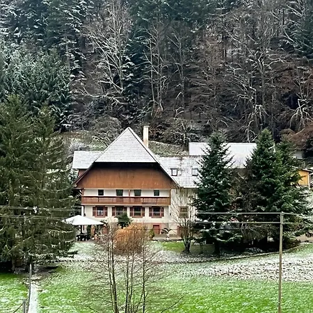 דירה Geraeumige Im Schwarzwald