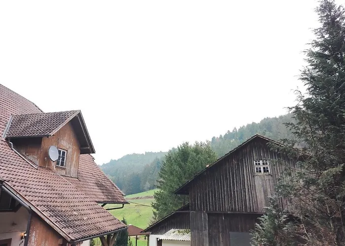 Geraeumige Im Schwarzwald Seelbach (Baden-Wurttemberg)