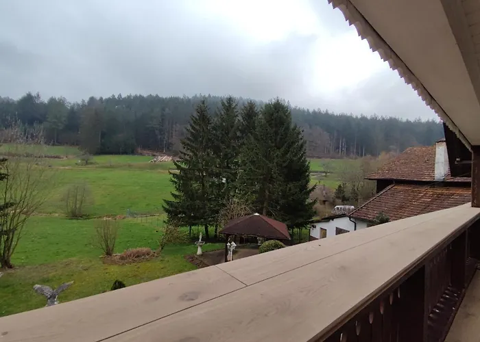 Daire Geraeumige Im Schwarzwald Seelbach (Baden-Wurttemberg)