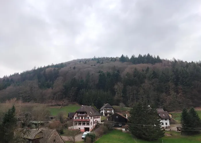 Daire Geraeumige Im Schwarzwald *