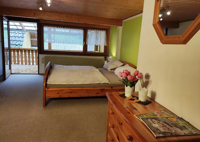 Daire Geraeumige Im Schwarzwald