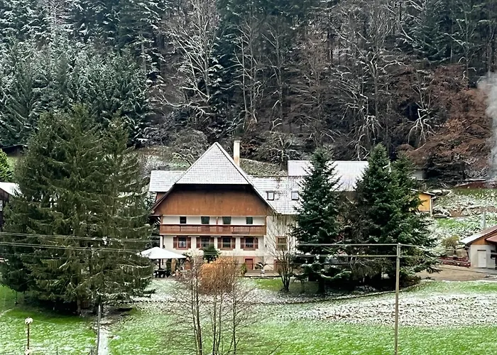 Daire Geraeumige Im Schwarzwald